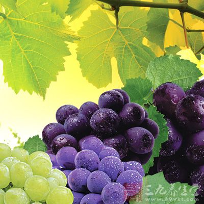 葡萄浆果除含水分外，还含有约15%～30%糖类