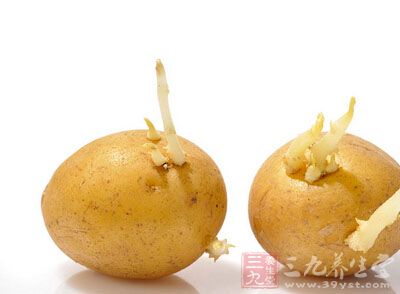 发芽土豆致食物中毒是龙葵素的责任