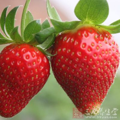 　食草莓对积食胀痛、胃口不佳、营养不良或病后体弱消瘦，是极为有益的