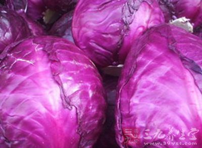 紫色大头菜又称紫甘蓝