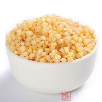 高粱米中的蛋白质以醇溶性蛋白质为多