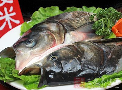 花鲢鱼中含有丰富的高蛋白、低脂肪，人常吃花鲢鱼对心血管有一定的保护作用