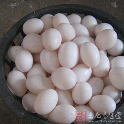 鸽蛋含有优质的蛋白质、磷脂、铁、钙、维生素A、维生素B1、维生素D等营养成分