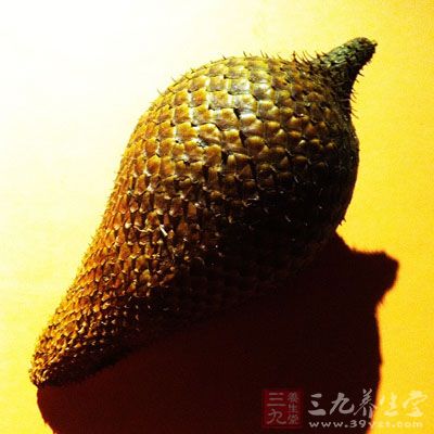 还有一种是泰国的蛇皮果，是比较长身一点