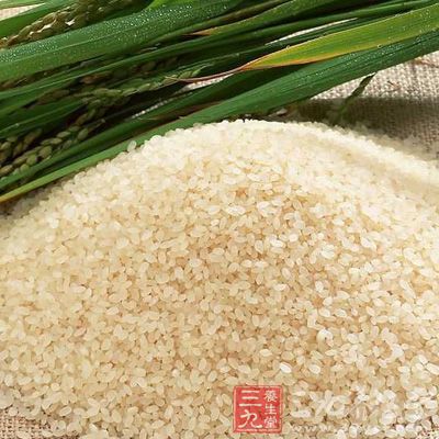 最滋补的米是粳米