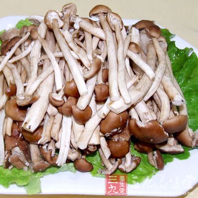 茶树菇有健脾、止泻、渗湿、利尿等功效