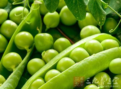 豌豆选用耐寒、抗病、早熟、高产的品种