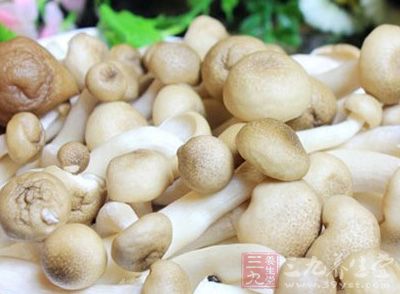 我国草菇产量居世界之首，主要分布于华南地区