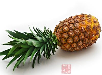 菠萝，原名：凤梨，别名：露兜子，拉丁文名：Ananas comosus