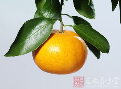 中国和世界其他国家栽培的柑桔主要是柑桔属