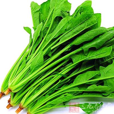 菠菜是藜科植物菠菜的带根全草，茎叶绿色，叶柄较长