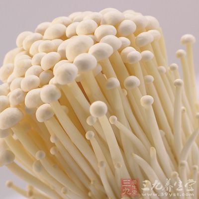 金针菇菌丝体、籽实体中的有效成分对人体也有抗菌消炎的作用