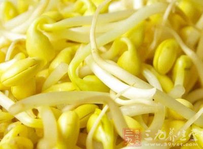 黄豆芽能够维持体温和保护内脏