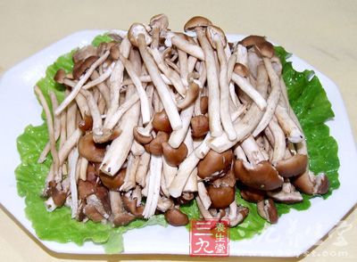 茶树菇菌肉白色、肥厚