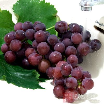 在果品中，葡萄的资历最老，据古生物学家考证