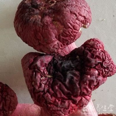 红菇也可以说是一种抗癌的天然药材
