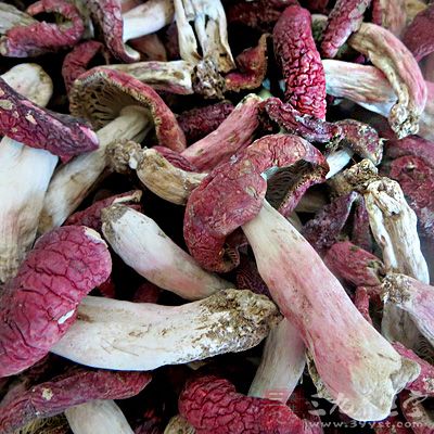 真的红菇，菌盖正面深红，中心暗红，并有横皱纹，菌盖腹面菌褶细密均匀，菇脚粉红色