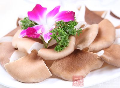 猪肚菇是一种较常见的野生食用菌