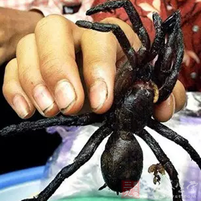 油炸大蜘蛛是柬埔寨的一道风味美食