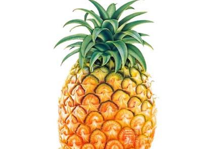 菠萝中的蛋白酶能够帮助人体肠胃消化