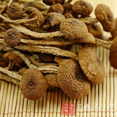 食用茶树菇有利于肾脏的健康