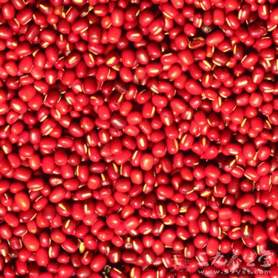 红豆可增加肠胃蠕动