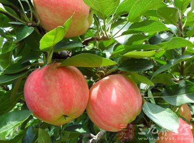 苹果本身含有大量食物纤维，能帮助消除宿便