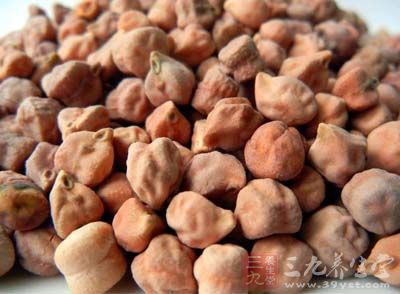 鹰嘴豆是一种十分珍贵的稀有种质资源