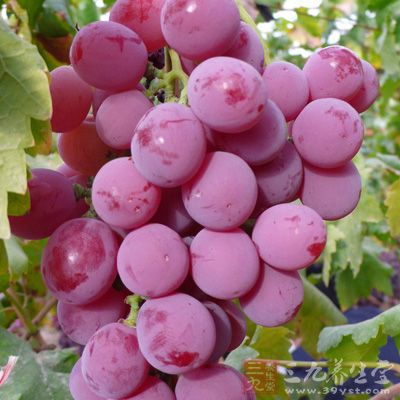 葡萄中含有一种抗癌微量元素(白藜芦醇)，可以防止健康细胞癌变，阻止癌细胞扩散