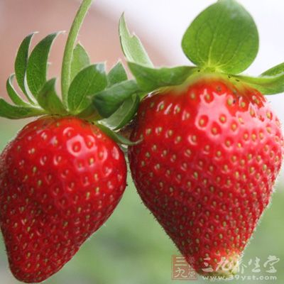 草莓含有丰富的维生素C，维生素C有助于人体吸收铁质，使细胞获得滋养