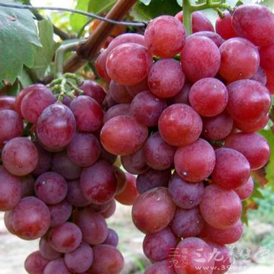 葡萄的营养成分