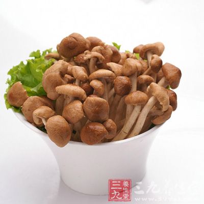茶树菇含有人体所需的18种氨基酸