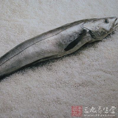 银鳕鱼身体内含有大量脂肪，黑色或灰黑色皮肤皮纯白肉丰富的油脂
