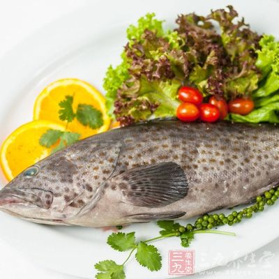 含汞量最高的鱼最好不要吃：石斑鱼