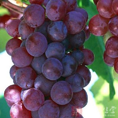 葡萄中含有的白藜芦醇可防止正常细胞癌变，并能抑制已恶变细胞的扩散