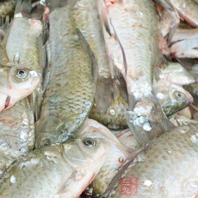 长期食用中等剂量白藜芦醇的鱼类