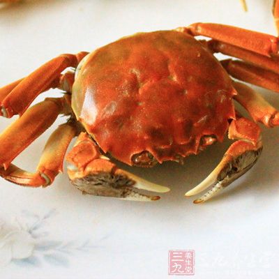 螃蟹含有丰富的蛋白质