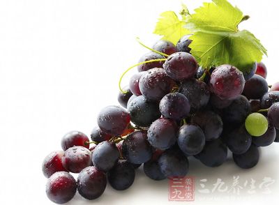 葡萄含有丰富的钙，磷和铁以及多种维生素和氨基酸9_093822002_2