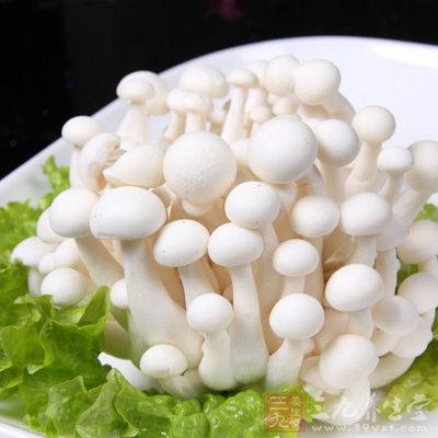 海鲜菇中分离得到的聚合糖酶的活性也比其它菇类要高许多