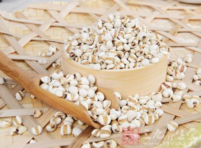 薏米是一种药食同源之物，中医认为其质滑利