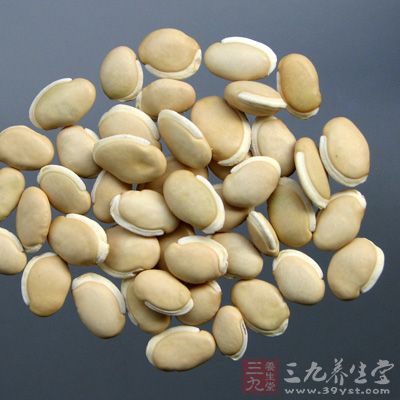 白扁豆营养分析