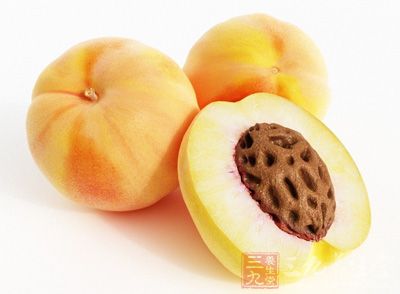 杏子的核有圆形或者长圆形或者扁圆形