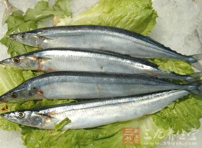 秋刀鱼是在部分东亚地区很常见的鱼种