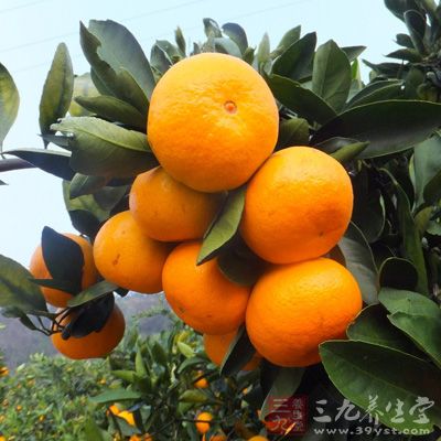 橘子可以加强毛细血管的韧性，降血压，扩张心脏的冠状动脉