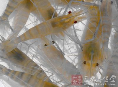 罗氏沼虾具有生长快、食性广、肉质营养成份好，以及养殖周期短等优点