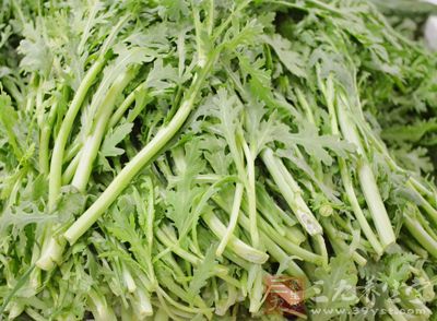 皇帝菜学名为茼蒿，是市面上非常寻常的一种蔬菜