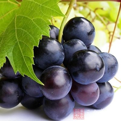 葡萄都被当做是补血水果