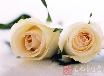 玫瑰花，是一种药食同源的中药材，对于身体具有很好的滋补养生功效