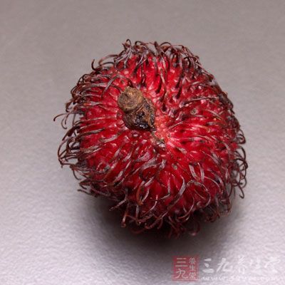 看似红色小刺猬的红毛丹在每年的6-8月为果实成熟采摘季节