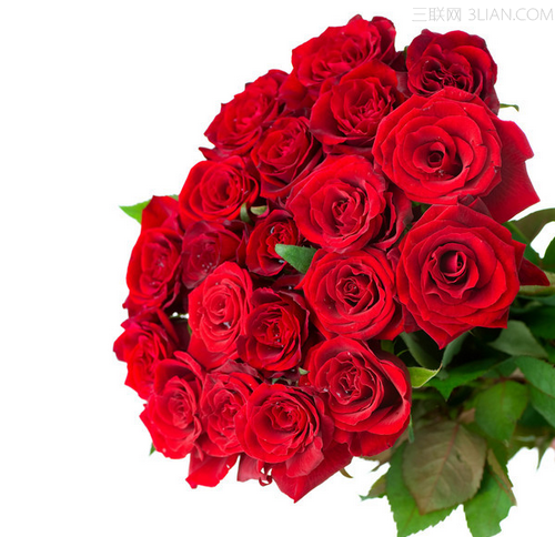 情人节玫瑰花朵数的含义  图老师